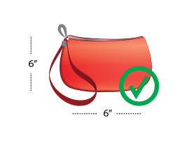 Permitted Item Image of Bag