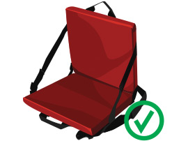 Permitted Item Image of Seat Cushion