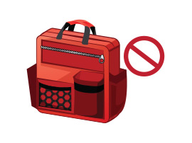 Prohibited Item Image of Seat Cushion