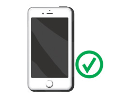 Permitted Item Image of Mobile Device