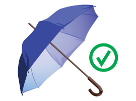 Permitted Item Image of Umbrella